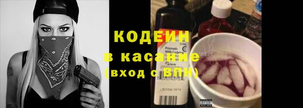гидра Бородино