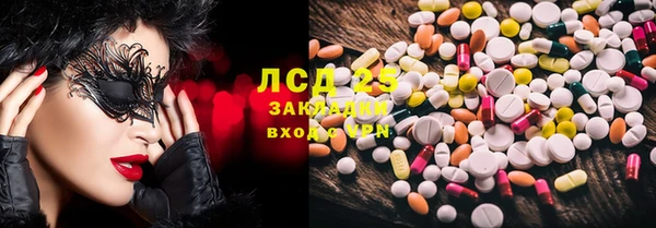 гидра Бородино