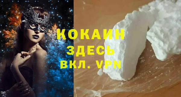гидра Бородино