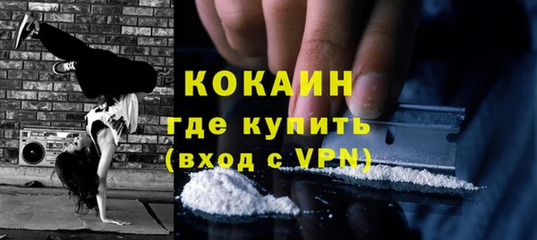 гидра Бородино